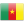 Soccer Cameroon