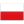 Soccer Poland