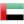 Soccer United Arab Emirates