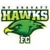 Mt Gravatt Hawks