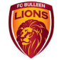 Bulleen Lions