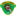 Тигрес Бразил